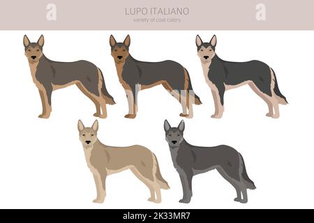 Lupo Italiano clipart. Different coat colors set.  Vector illustration Stock Vector