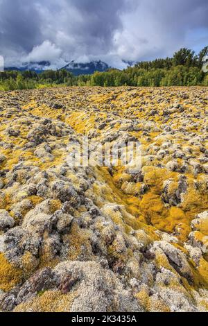 A field of moss-covered lava rocks in the Nisga'a Memorial Lava Beds Provincial Park in British Columbia Stock Photo