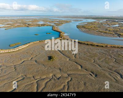 Network of channels and streams at low tide, in the marshland of the Bahia de Cadiz, in the distance the coastline of the Atlantic Ocean, aerial Stock Photo