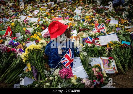 Toy Paddington Bear amongst flags and flowers for The Queen Stock Photo