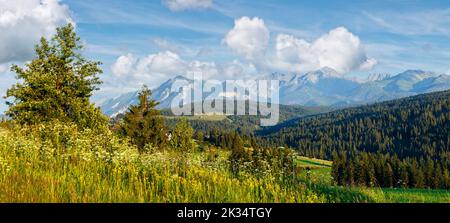 Summer evening mountain village outskirts with blossoming field and Tatra range behind (Gliczarow Gorny, Poland) Stock Photo