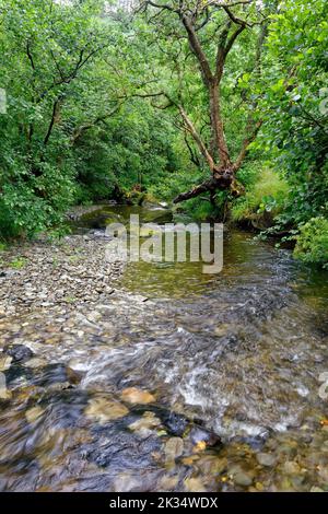 River Marteg at Gilfach Farm near Rhayader, Powys, Wales, UK Stock Photo