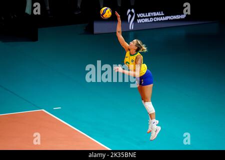 Priscilac zalewski daroit moreira hi-res stock photography and images -  Alamy