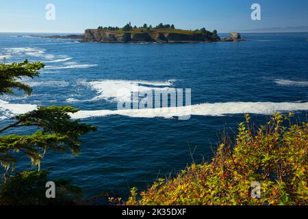 Cape Flattery Trail views, Neah Bay, Makah Indian Reservation, Washington Stock Photo