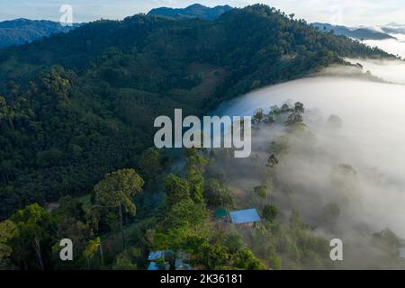 aerial view scenery sunrise above the mountain in tropical rainforest. slow floating fog blowing cover on the mountain look like as a sea of mist.  be Stock Photo