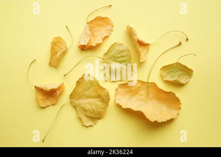Hello autumn concept. Yellow leaves on a yellow background. Stock Photo