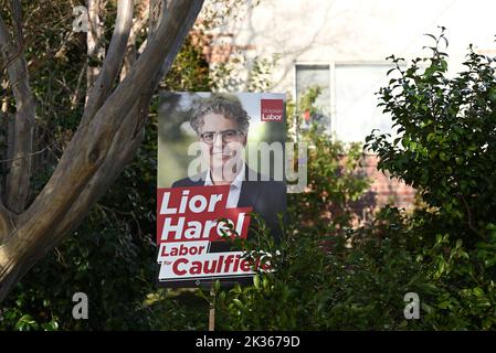 Sign promoting the candidacy of the Australian Labor Party's Lior Harel for the seat of Caulfield in a garden, partially obscured by a plant Stock Photo