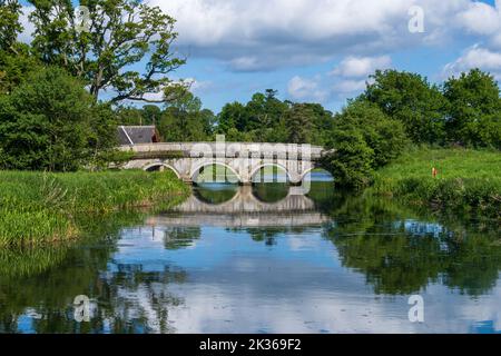old stone bridge reflecting in a still river in green Irish countryside in spring Stock Photo