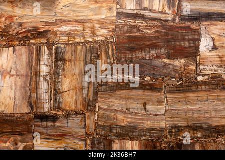 Petrified wood texture slab. Semiprecious matt gemstone stone for ceramic wall, floor digital tiles. Material texture for unique interior, exterior Stock Photo