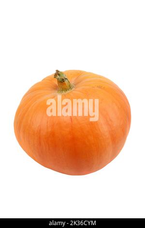 Single fresh orange miniature pumpkin isolated on white background Stock Photo