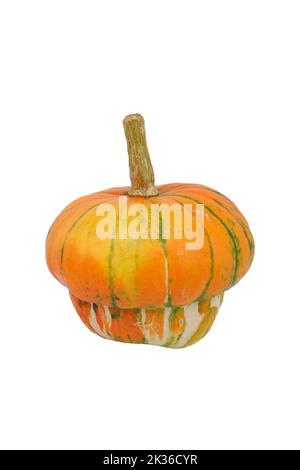 Beautiful single fresh ripe orange mini pumpkin isolated on white Stock Photo