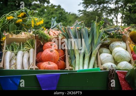 Freshly harvested organic vegetables such as radish, squash, leek and cabbage at a country market, agriculture and healthy food concept, selected focu Stock Photo