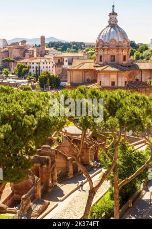 Roman Forum ruins, Rome, Italy. Aerial vertical view of famous tourist attraction of Rome. Scenery of Ancient buildings, road and pine trees. Concept Stock Photo
