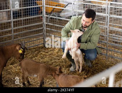 Farmer squatting with goatling in shed Stock Photo