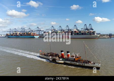 The world's last seaworthy paddle steamer, the Waverley passes the Port of Felixstowe in Suffolk, during a trip to London on her 75th anniversary. Picture date: Sunday September 25, 2022. Stock Photo