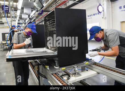 (220925) -- CHONGQING, Sept. 25, 2022 (Xinhua) -- Workers are seen at the production line of a dishwasher interconnected factory of Chongqing Haier Washing Electric Appliances Co.LTD in southwest China's Chongqing, Sept. 25, 2022. A dishwasher interconnected factory of Chongqing Haier Washing Electric Appliances Co.LTD was officially put into production here at Gangcheng Industry Park in Jiangbei District of Chongqing on Sunday. This 42,000-square-meter factory, with a designed annual output of one million dishwashers, will utilize advanced technologies like 5G and Industrial Internet towards Stock Photo