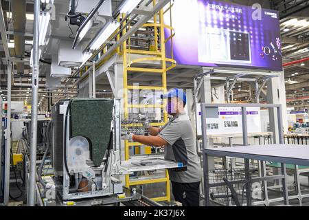 (220925) -- CHONGQING, Sept. 25, 2022 (Xinhua) -- A worker is seen at the production line of a dishwasher interconnected factory of Chongqing Haier Washing Electric Appliances Co.LTD in southwest China's Chongqing, Sept. 25, 2022. A dishwasher interconnected factory of Chongqing Haier Washing Electric Appliances Co.LTD was officially put into production here at Gangcheng Industry Park in Jiangbei District of Chongqing on Sunday. This 42,000-square-meter factory, with a designed annual output of one million dishwashers, will utilize advanced technologies like 5G and Industrial Internet towards Stock Photo