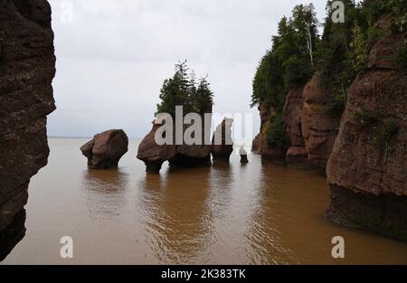 The famous rocks of Hopewell Cape, Canada Stock Photo - Alamy