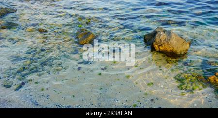 stones and seaweed at the sea shore. nature background on the sandy beach. calm water texture in morning light Stock Photo