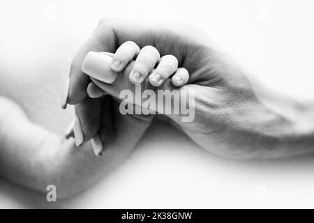 Close-up of a baby's small hand with tiny fingers and arm of mother.  Stock Photo