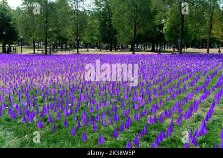 BOSTON, MASSACHUSETTS - August 29, 2022: Thousands of purple flags are planted on Boston Common's Liberty Mall by the State House to honor those who d Stock Photo