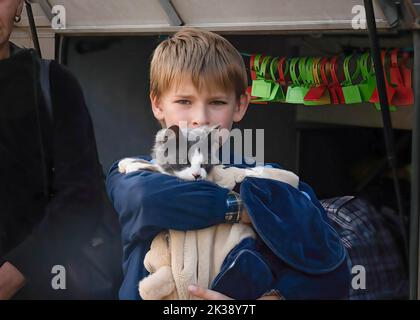 Shevchenkove, Ukraine. 21st Sep, 2022. A boy from Kupiansk is seen with his cat in the evacuation bus. Ukrainian civilians are being evacuated as Ukrainian and Russian armed forces are under heavy fighting in the north-east of the country. Ukraine has met with Russian troops resistance as it made a successful counteroffensive in the north-east of the country, recapturing almost the entire Kharkiv region. (Photo by Ashley Chan/SOPA Images/Sipa USA) Credit: Sipa USA/Alamy Live News Stock Photo