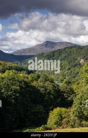 Gwydir forest and Moel Siabod, Snowdonia, North Wales Stock Photo