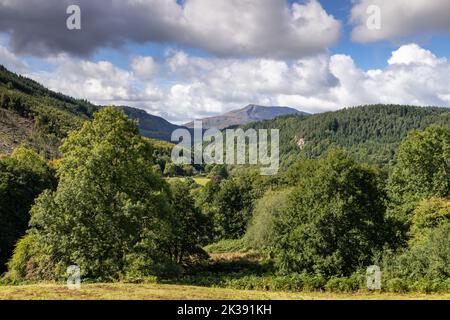 Gwydir forest and Moel Siabod, Snowdonia, North Wales Stock Photo