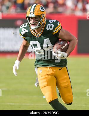 green bay packers number 84