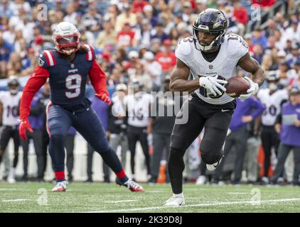 Foxborough, United States. 25th Sep, 2022. Baltimore Ravens Devin Duvernay runs the ball during a game against the New England Patriots at Gillette Stadium in Foxborough, Massachusetts on Sunday, September 25, 2022. Photo by Amanda Sabga/UPI Credit: UPI/Alamy Live News Stock Photo