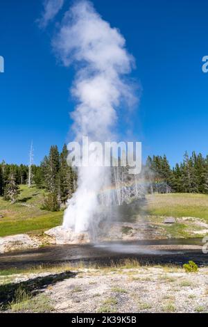 Riverside Geyer erupts on a sunny summer day, with a rainbow Stock Photo