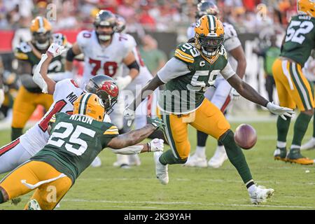 Green Bay Packers' Keisean Nixon trto get past Chicago Bears' Josh Blackwell  during the first half of an NFL football game Sunday, Dec. 4, 2022, in  Chicago. (AP Photo/Charles Rex Arbogast Stock