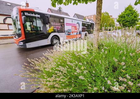 21 July 2022, Dusseldorf, Germany: Rheinbahn bus public transport in city suburb