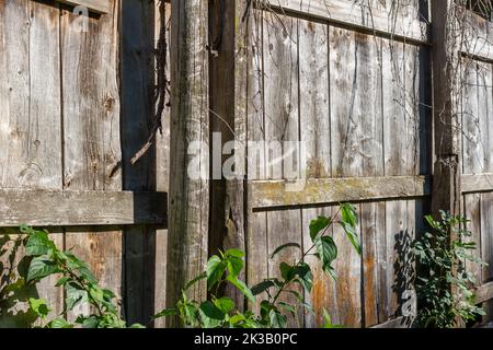 Abstract texture background of an unpainted rustic old wooden farm shed wall, showing natural weathering from age Stock Photo