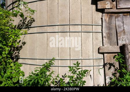 Abstract texture background of a cement block wall round silo wall, with bushes in the foreground Stock Photo
