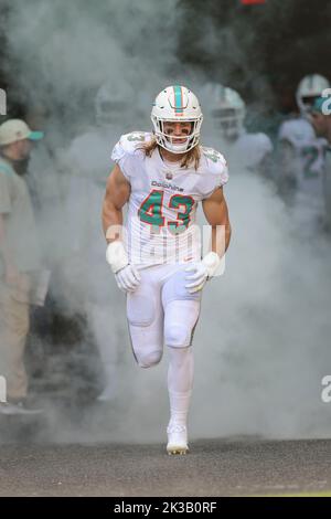 Sunday, September 25, 2022; Miami Gardens, FL USA;  Miami Dolphins linebacker Andrew Van Ginkel (43) enters the field from the tunnel at the start an Stock Photo