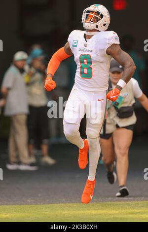 Miami Dolphins safety Jevon Holland (8) waits on the snap during a NFL  football game against the Minnesota Vikings, Sunday, Oct.16, 2022 in Miami  Gardens, Fla. (AP Photo/Alex Menendez Stock Photo - Alamy