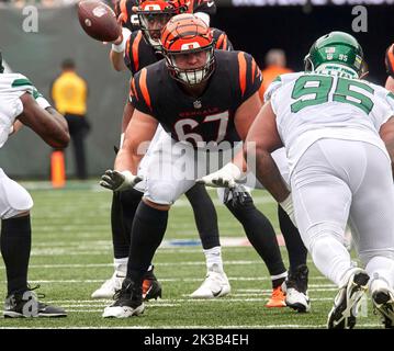 Cincinnati Bengals offensive tackle Cordell Volson (67) in action during  the first half of a NFL football game against the Baltimore Ravens, Sunday,  Oct. 9, 2022, in Baltimore. (AP Photo/Terrance Williams Stock