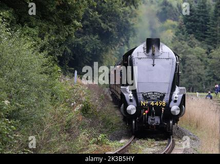 A4 Pacific no 4498 Sir Nigel Gresley in wartime black livery at ...
