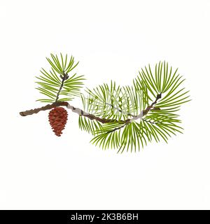 Pine branch and pine cone natural background vector illustration Stock Vector