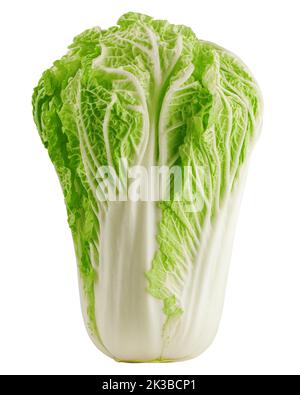 chinese cabbage, isolated on white background, clipping path, full depth of field Stock Photo