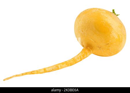 yellow turnip, isolated on white background, clipping path, full depth of field Stock Photo