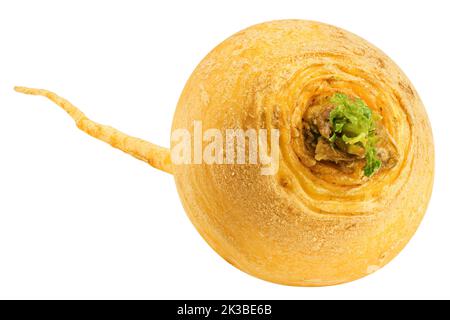 yellow turnip, isolated on white background, clipping path, full depth of field Stock Photo