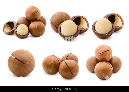 macadamia, nut, isolated on white background, full depth of field Stock Photo