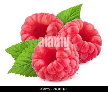 Raspberry isolated on white background, clipping path, full depth of field Stock Photo