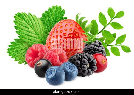 wild berries mix, strawberry, raspberry, currant, blueberry, cranberry, blackberry, isolated on white background, clipping path, full depth of field Stock Photo