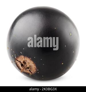 Black currant isolated on white background, clipping path, full depth of field Stock Photo