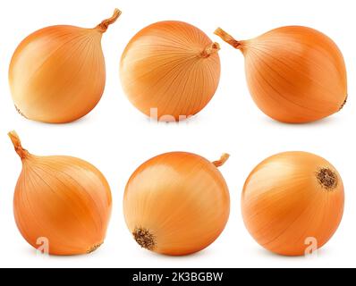 onion, isolated on white background, clipping path, full depth of field Stock Photo