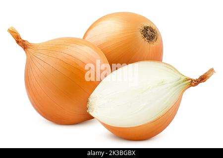 onion, isolated on white background, clipping path, full depth of field Stock Photo