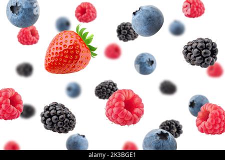 Falling wild berries mix, strawberry, raspberry, blueberry, blackberry, isolated on white background, clipping path, full depth of field Stock Photo
